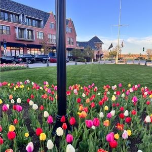 Meet your Posher, Mirihan